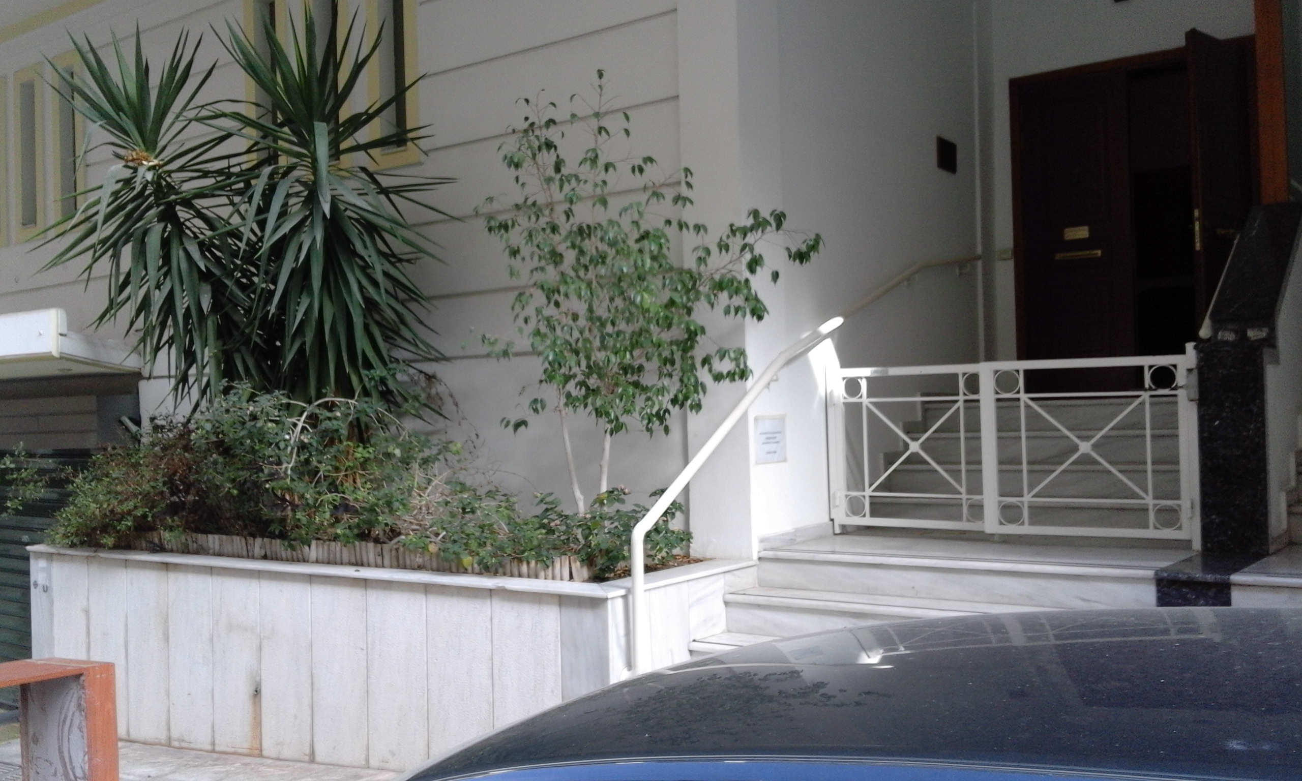 New space at Niovis